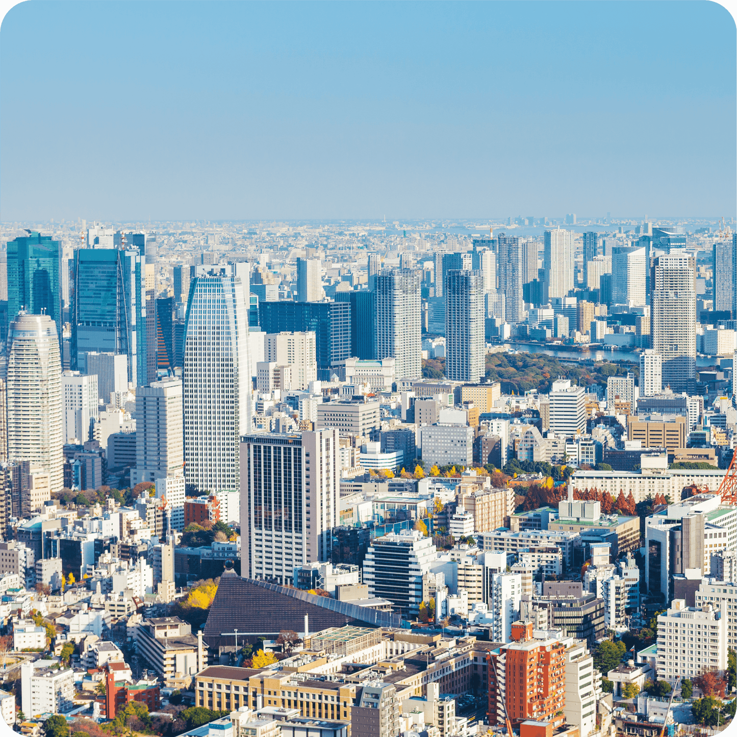 Japón