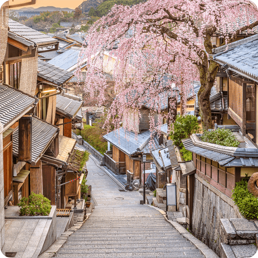 Japón