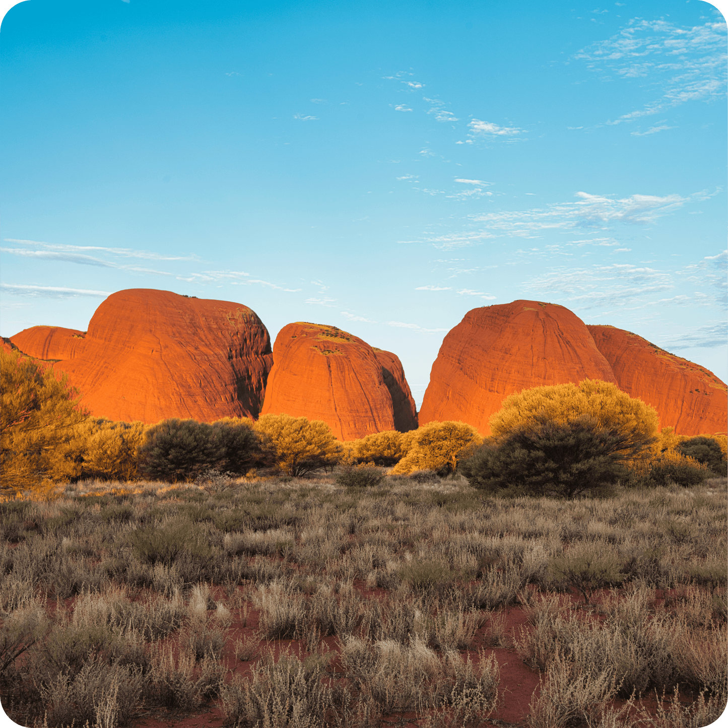 Australia y Nueva Zelanda