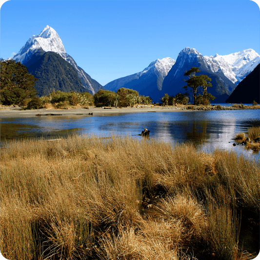 Australia y Nueva Zelanda