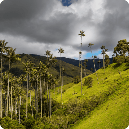 Colombia