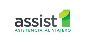 Logo Assist1